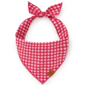 Raspberry Gingham Spring Dog Bandana